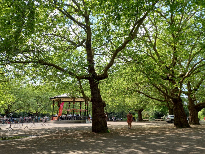 Outside a park area with large, mature trees providing substantial shade on a bright day. The trees have thick trunks and expansive branches covered in green leaves. In the background, there is a small, open-air bandstand or pavilion with a roof supported by columns, and a group of people seated underneath, possibly for a public event or gathering. To the right, a person dressed in casual clothing is walking on the paved ground. Parked cars are visible beyond the trees and pavilion. The scene captures a peaceful outdoor space that could be part of a home relocation or community move, where vehicle loading or unloading might take place in proximity to such an environment. The natural setting, combined with the pavilion and the presence of individuals, supports the context of a moving or packing process related to house removals, suggesting a transition of the area or setting for transport activities as offered by Man With a Van South Lambeth.